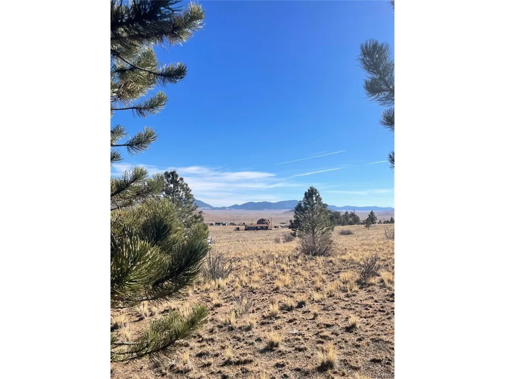 0 Oak Street Hartsel, CO 80449