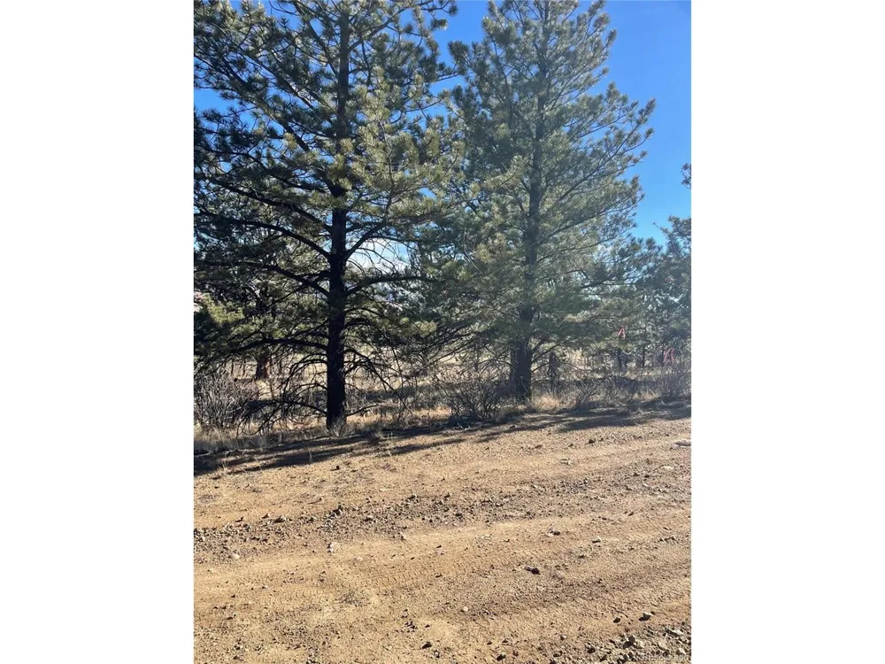 0 Oak Street Hartsel, CO 80449