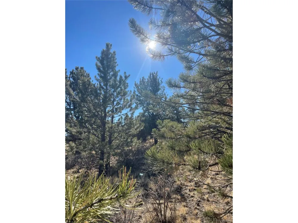 0 Oak Street Hartsel, CO 80449