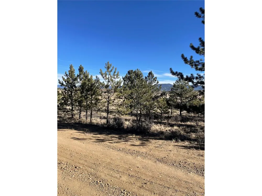 0 Oak Street Hartsel, CO 80449