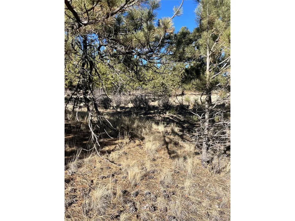 0 Oak Street Hartsel, CO 80449