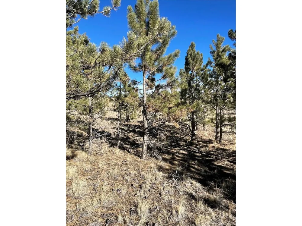 0 Oak Street Hartsel, CO 80449