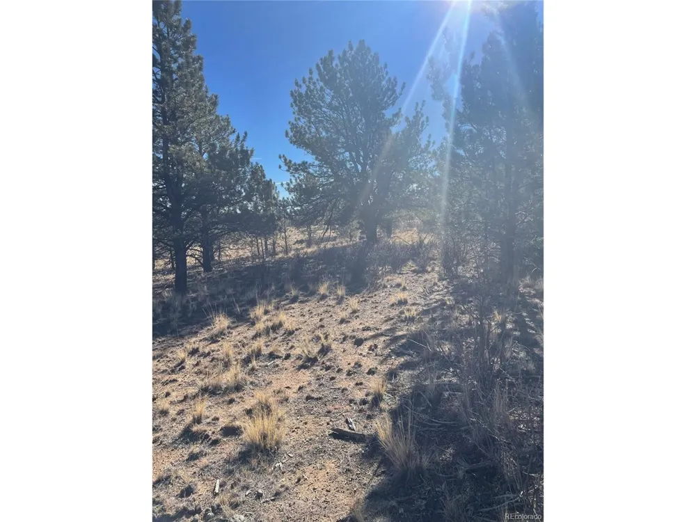 0 Oak Street Hartsel, CO 80449