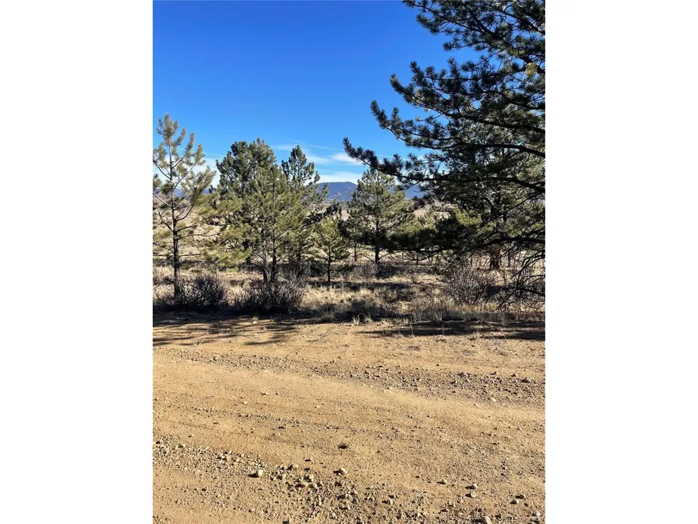 0 Oak Street Hartsel, CO 80449