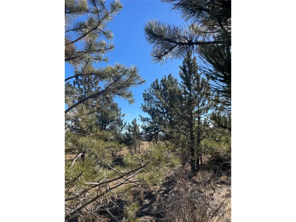 0 Oak Street Hartsel, CO 80449