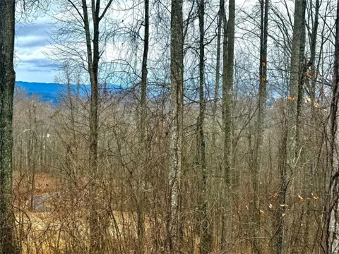 LOT 7 Rocky Knob Drive