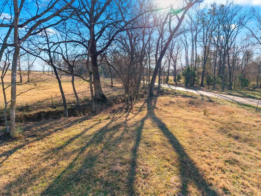 4315 County Road Cookville, TX 75571