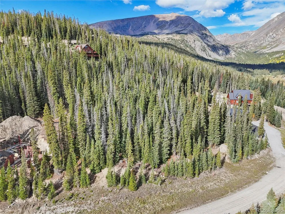 159 Hamilton Lane Breckenridge, CO 80424