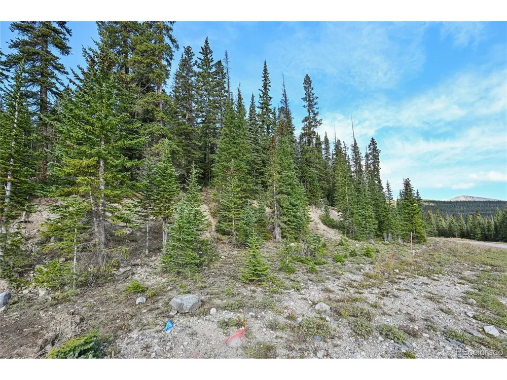 159 Hamilton Lane Breckenridge, CO 80424