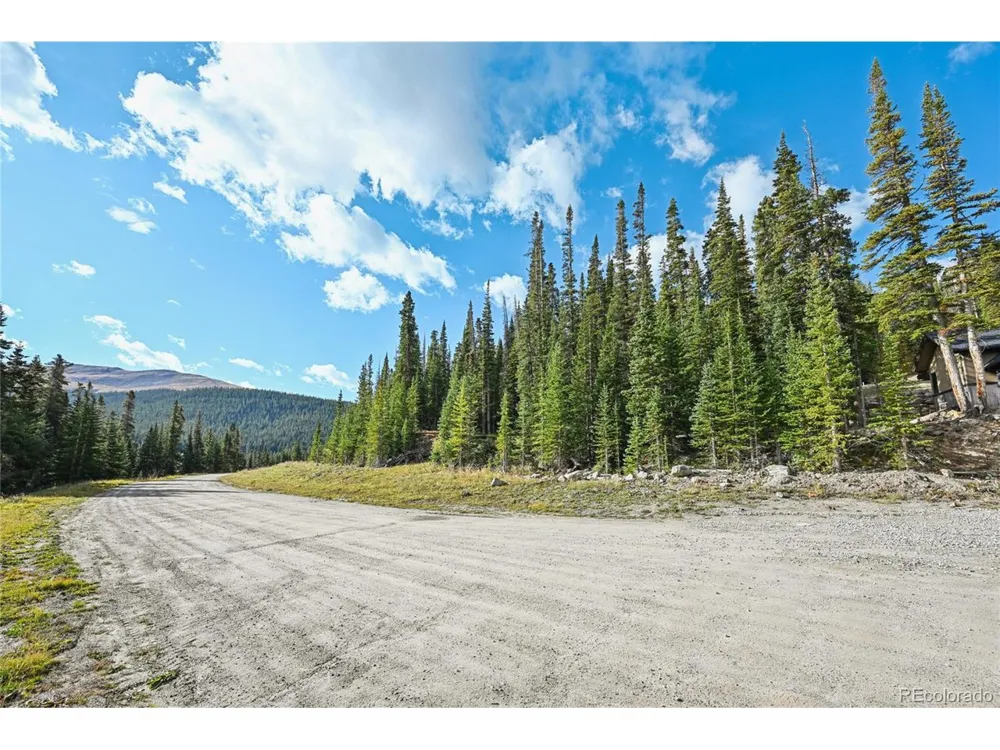159 Hamilton Lane Breckenridge, CO 80424