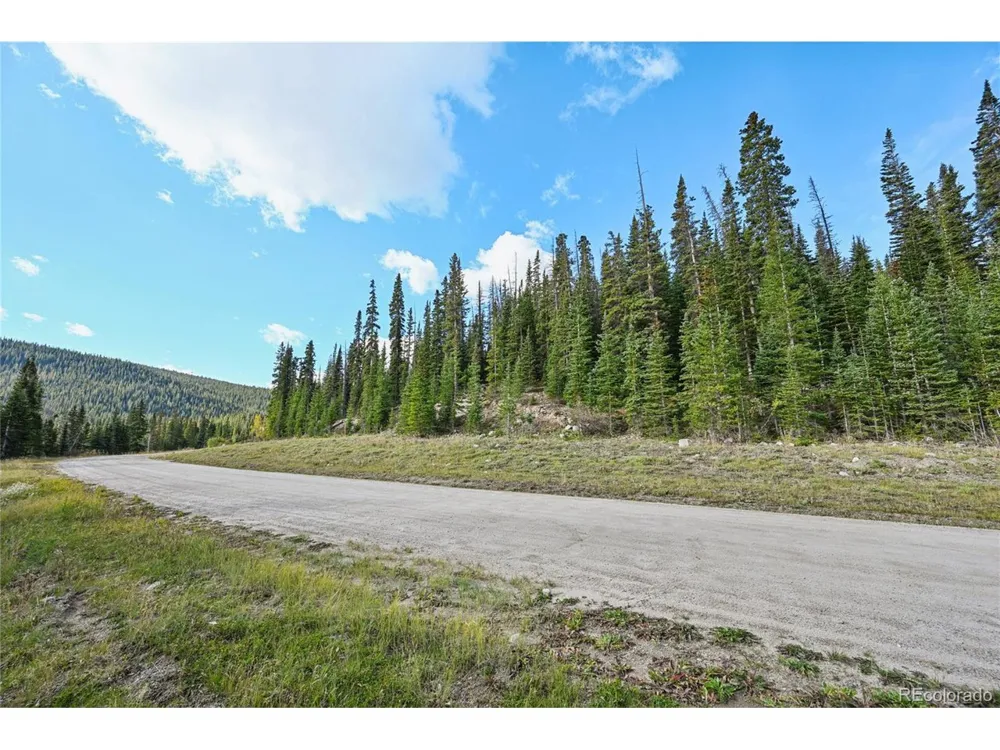 159 Hamilton Lane Breckenridge, CO 80424