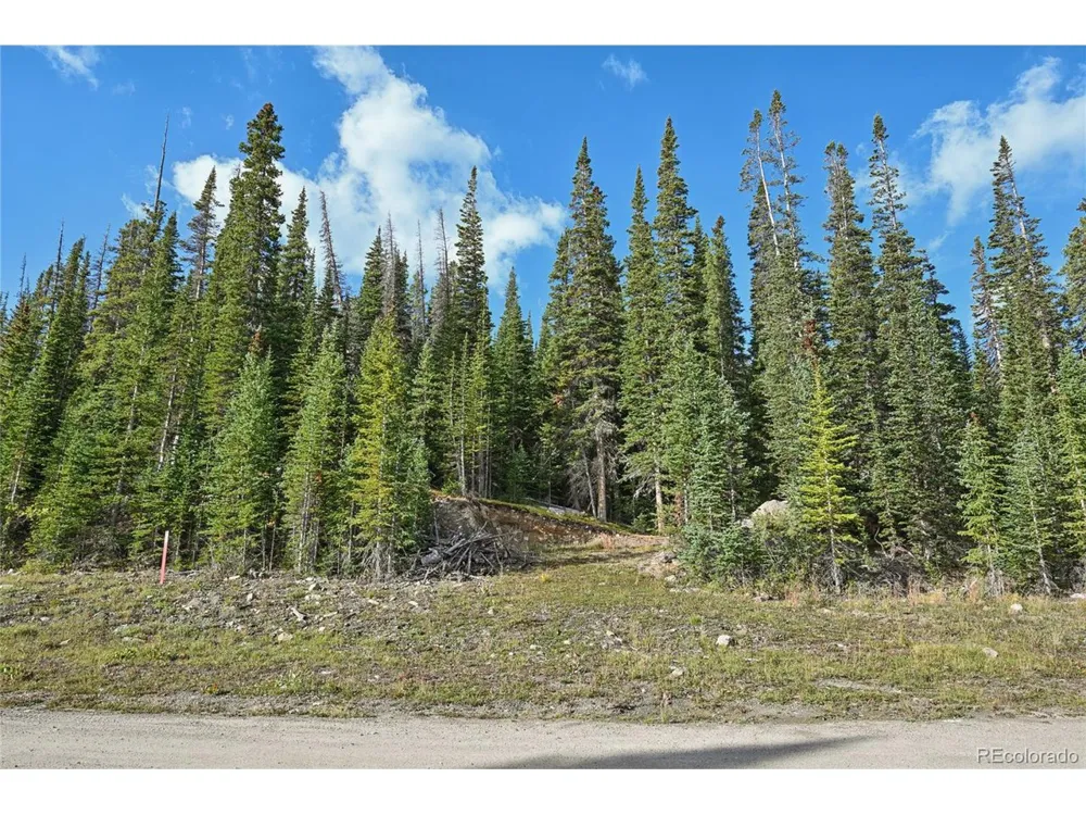 159 Hamilton Lane Breckenridge, CO 80424