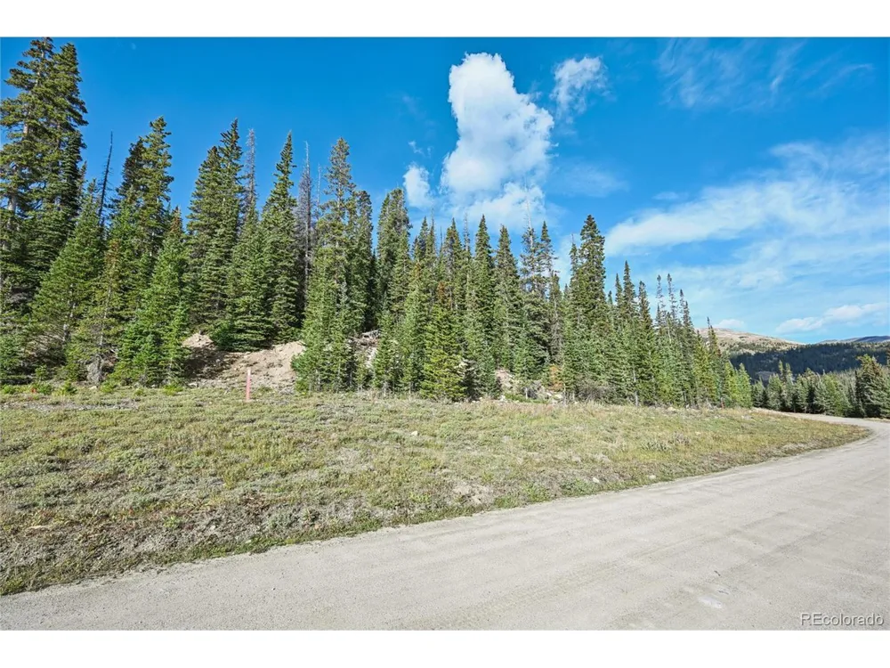 159 Hamilton Lane Breckenridge, CO 80424