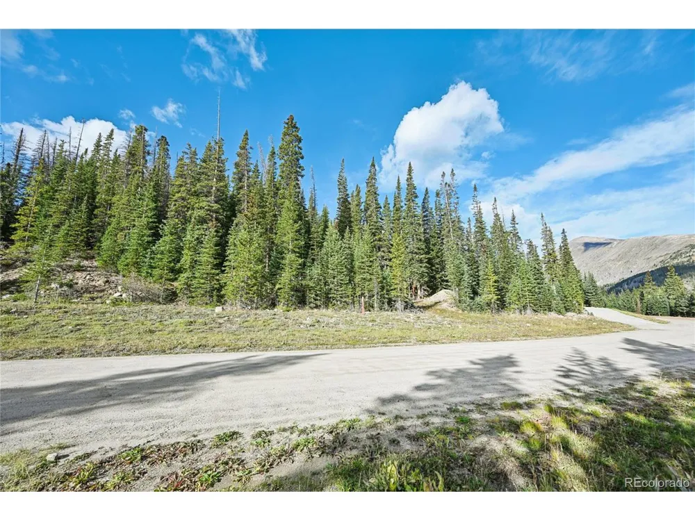 159 Hamilton Lane Breckenridge, CO 80424