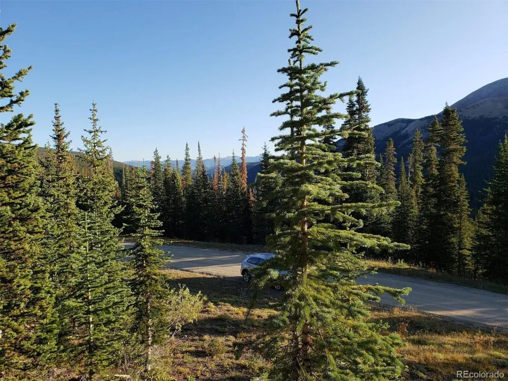 159 Hamilton Lane Breckenridge, CO 80424