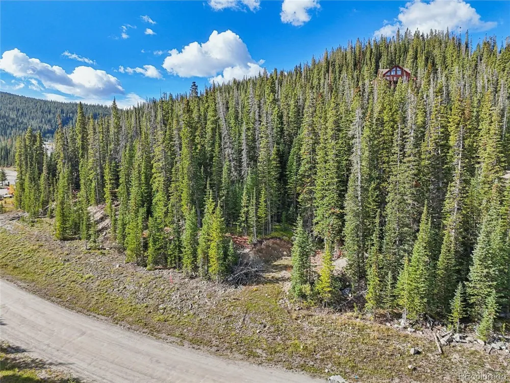 159 Hamilton Lane Breckenridge, CO 80424