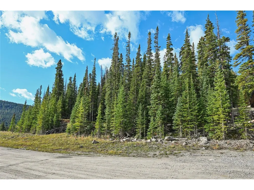 159 Hamilton Lane Breckenridge, CO 80424