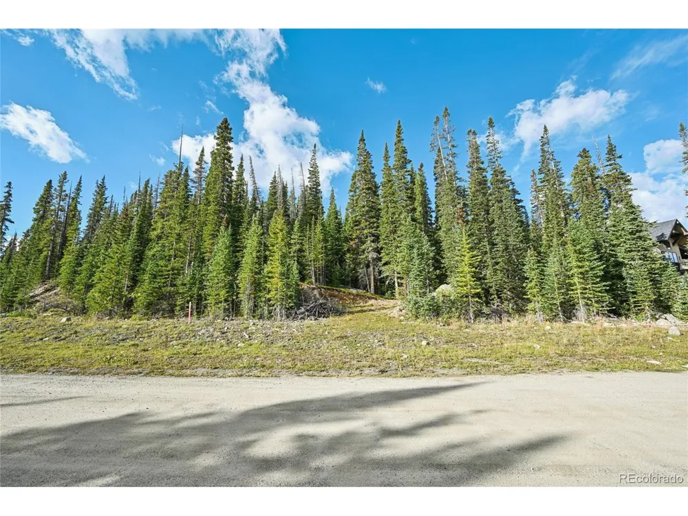 159 Hamilton Lane Breckenridge, CO 80424