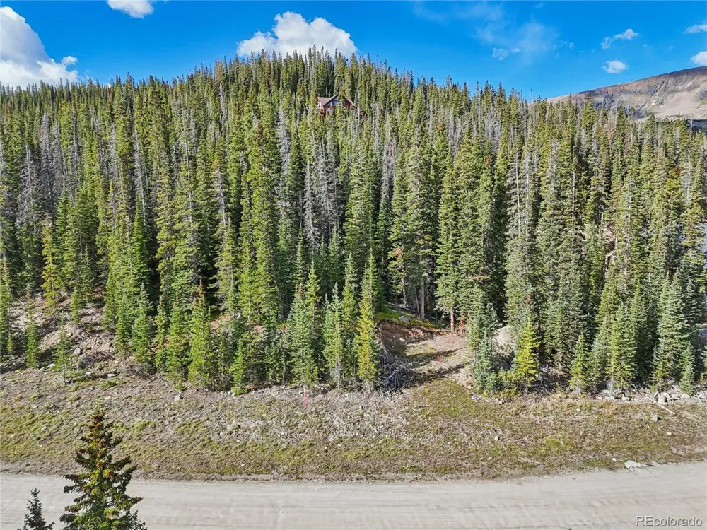 159 Hamilton Lane Breckenridge, CO 80424