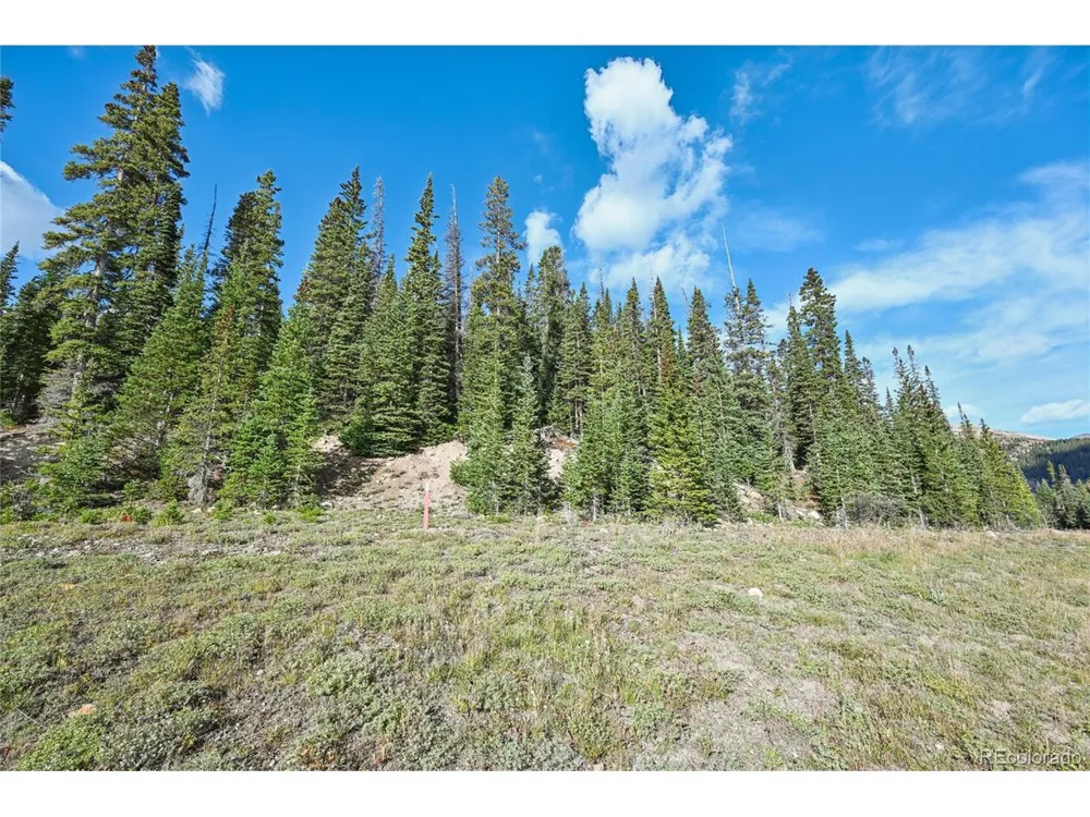 159 Hamilton Lane Breckenridge, CO 80424