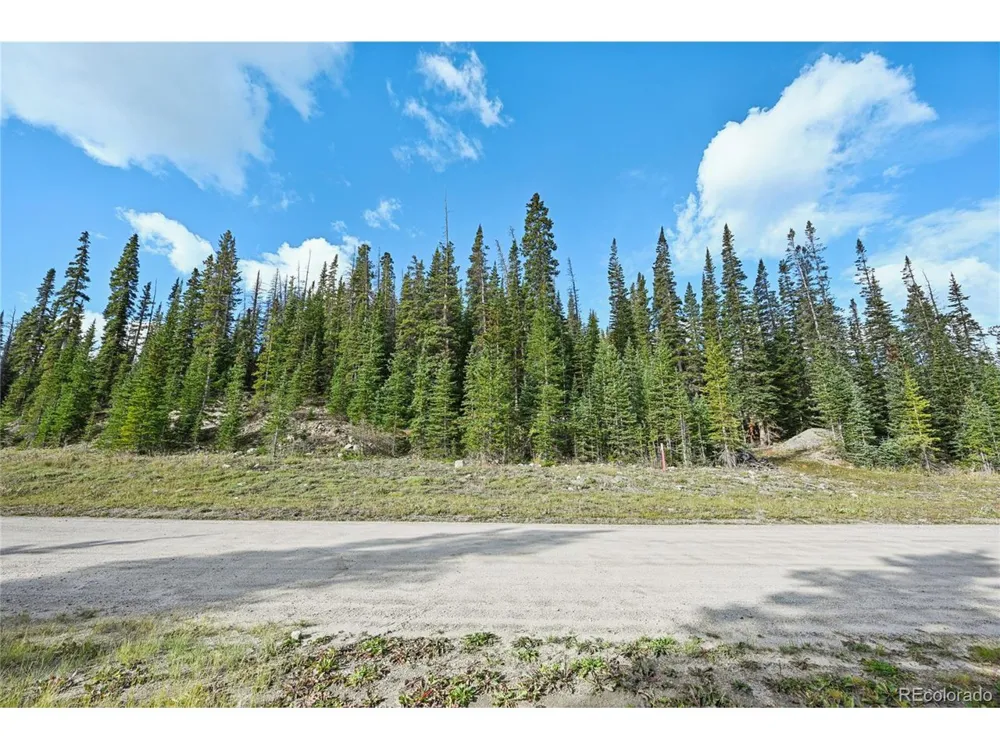 159 Hamilton Lane Breckenridge, CO 80424