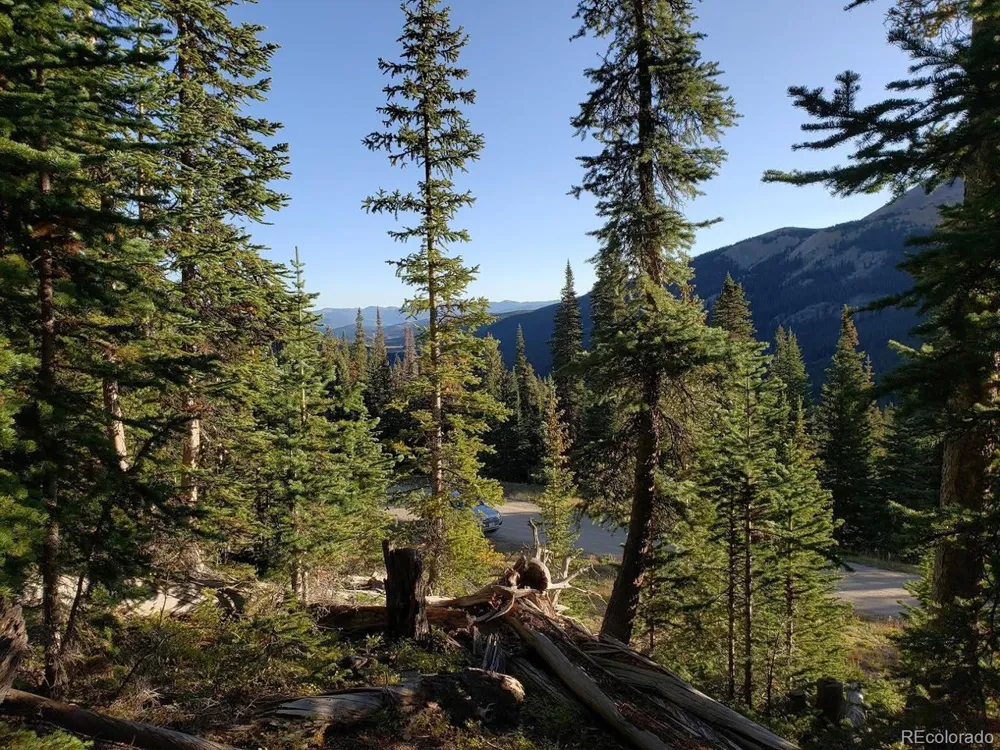 159 Hamilton Lane Breckenridge, CO 80424