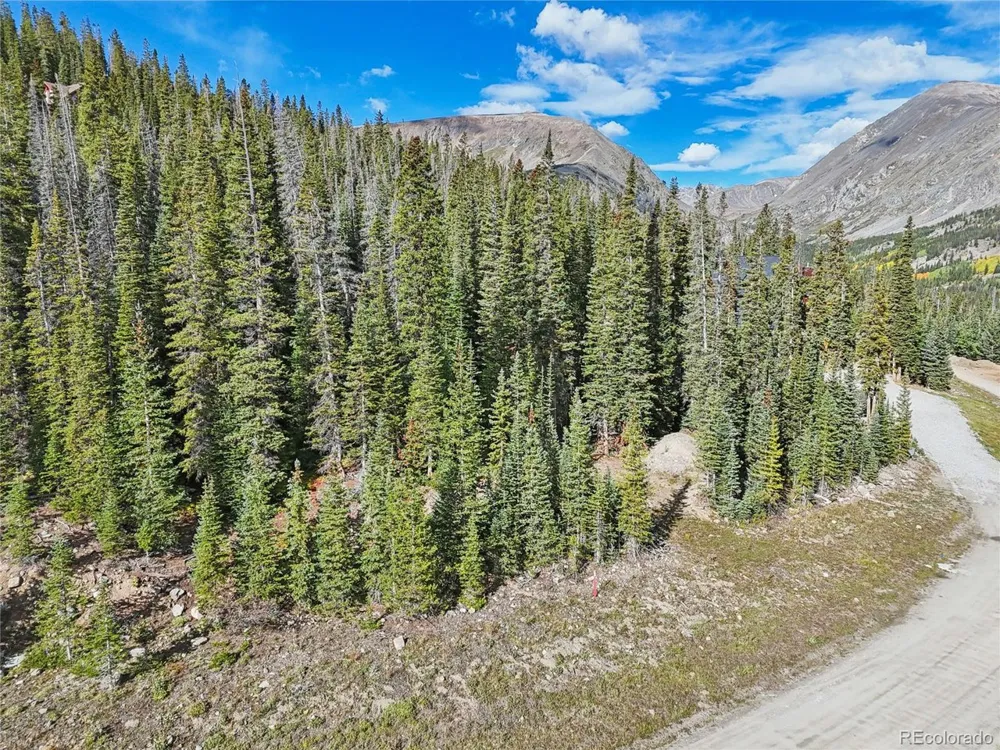 159 Hamilton Lane Breckenridge, CO 80424