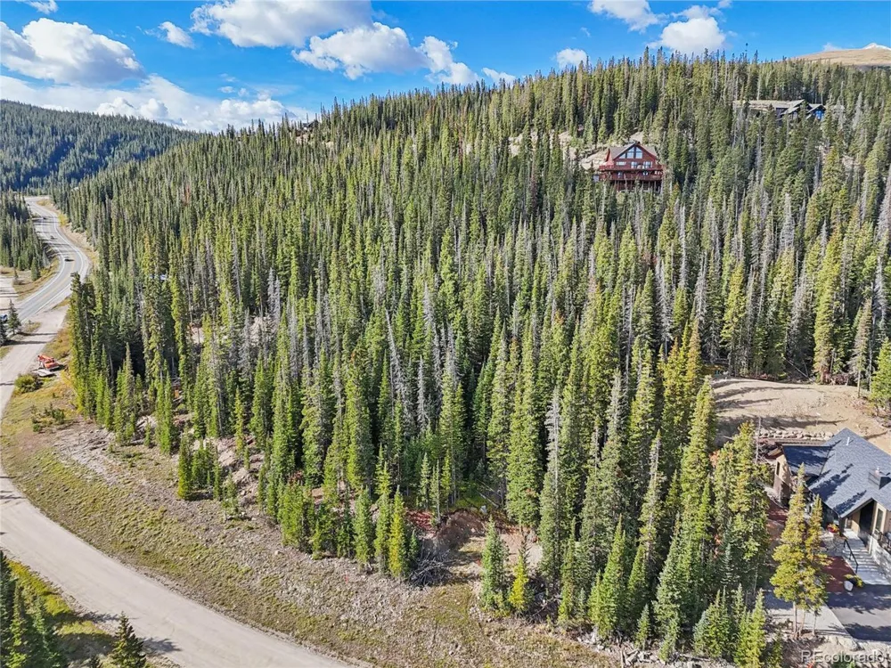 159 Hamilton Lane Breckenridge, CO 80424