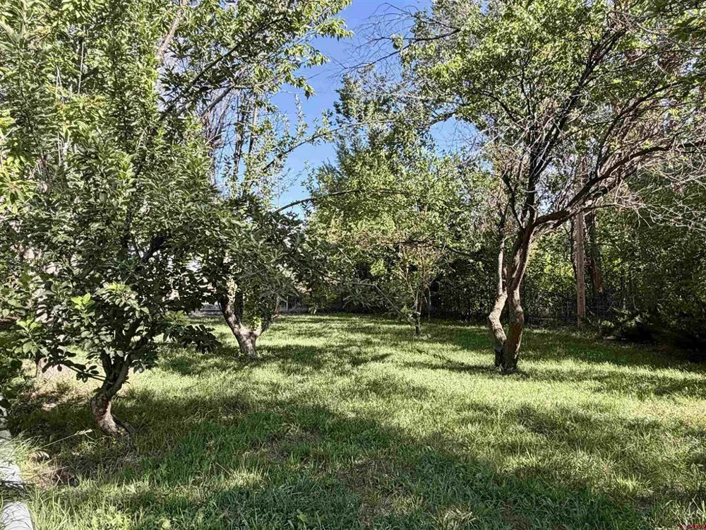 8903 Marshalls Road Austin, CO 81410