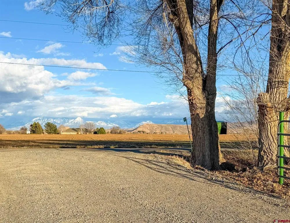 8903 Marshalls Road Austin, CO 81410