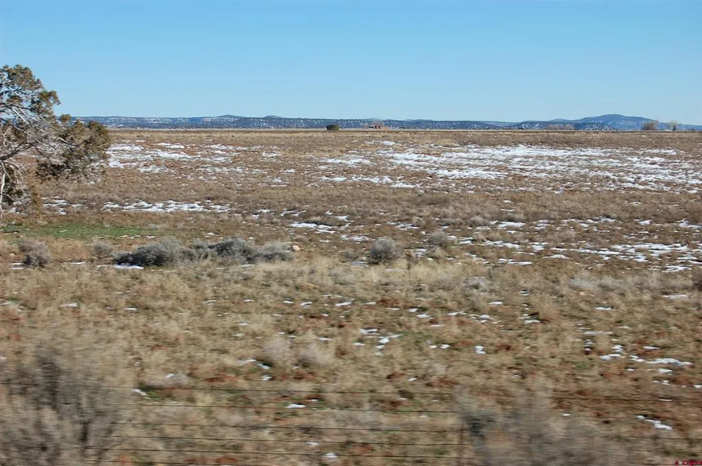 5748 County Road 134 Hesperus, CO 81326