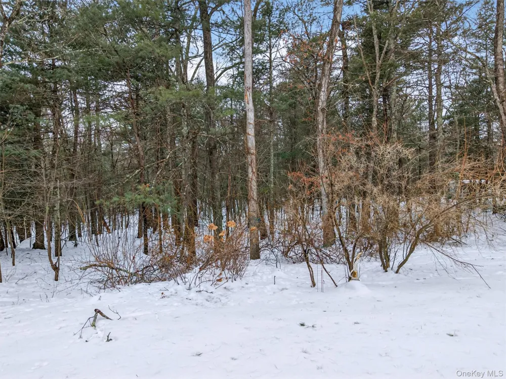 157 Old Forestburg Road Sparrowbush, NY 12780