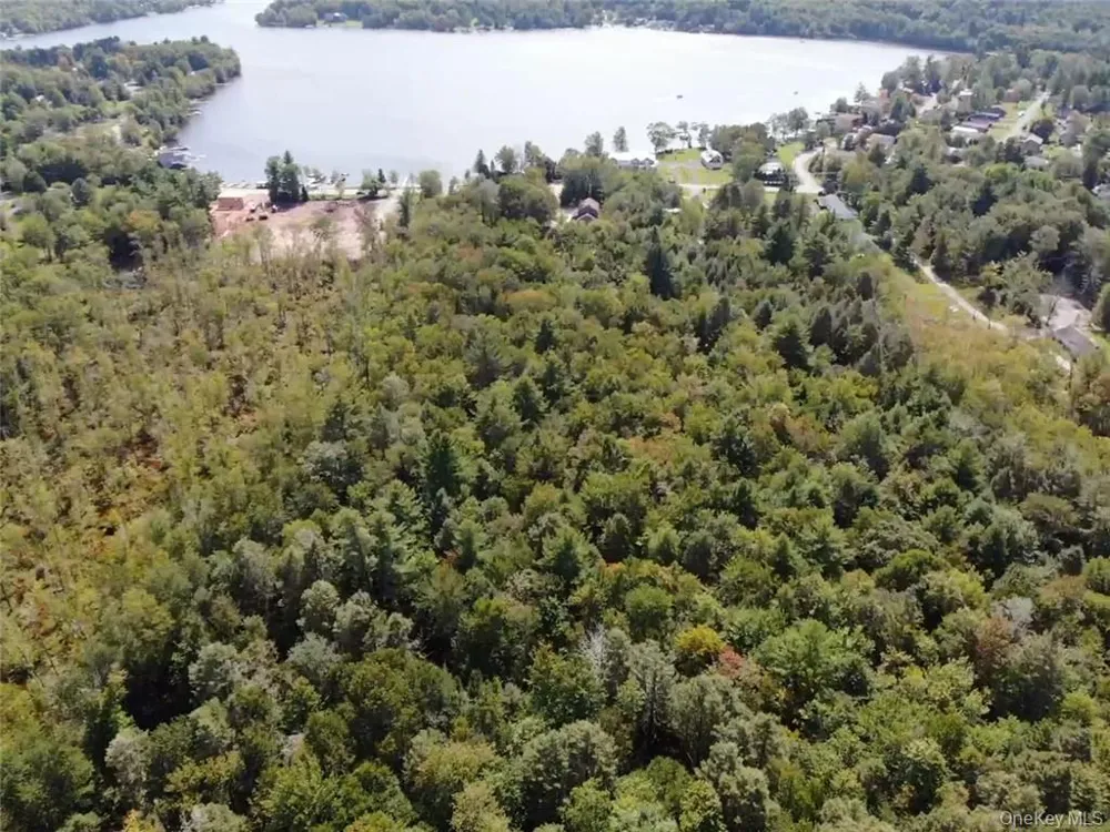 000 Cooper Drive Road Kauneonga Lake, NY 12783