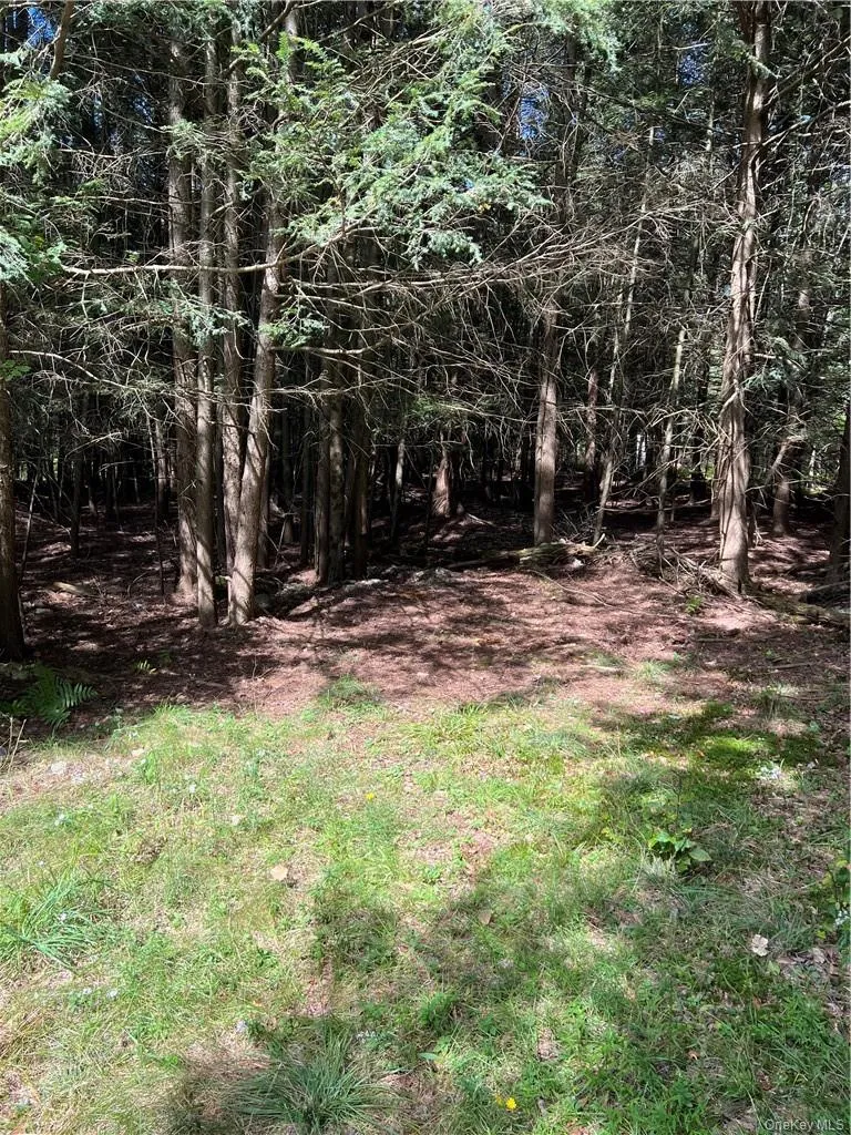 000 Cooper Drive Road Kauneonga Lake, NY 12783