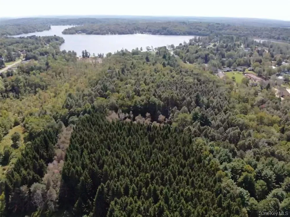 000 Cooper Drive Road Kauneonga Lake, NY 12783