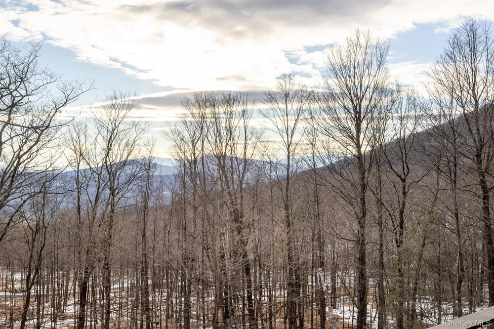 306 Meads Mountain Road Woodstock, NY 12498