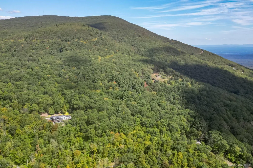 306 Meads Mountain Road Woodstock, NY 12498