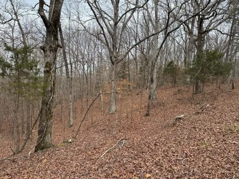 613 Williams Grove Rd