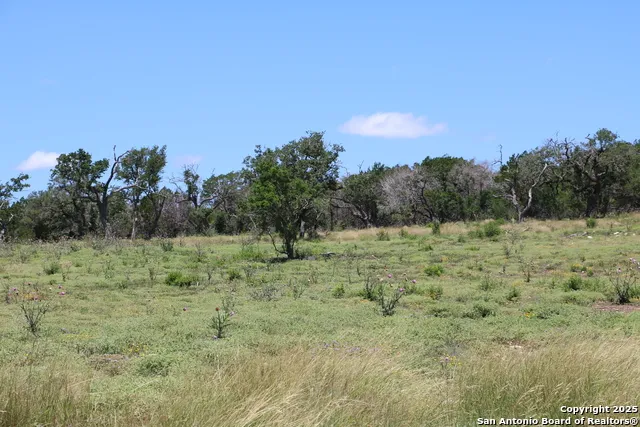 25 Seep Springs Camp Verde, TX 78010