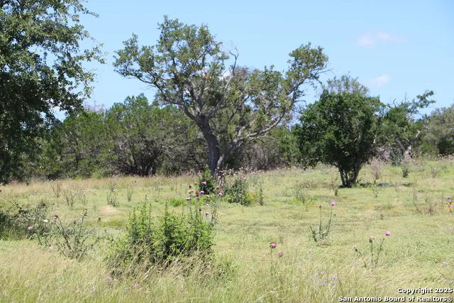 25 Seep Springs Camp Verde, TX 78010