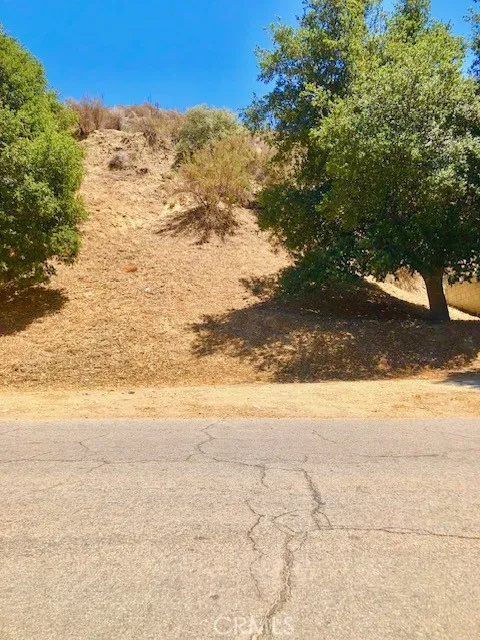 Lincoln Ave Lot77