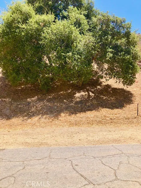 Lincoln Ave Lot 78