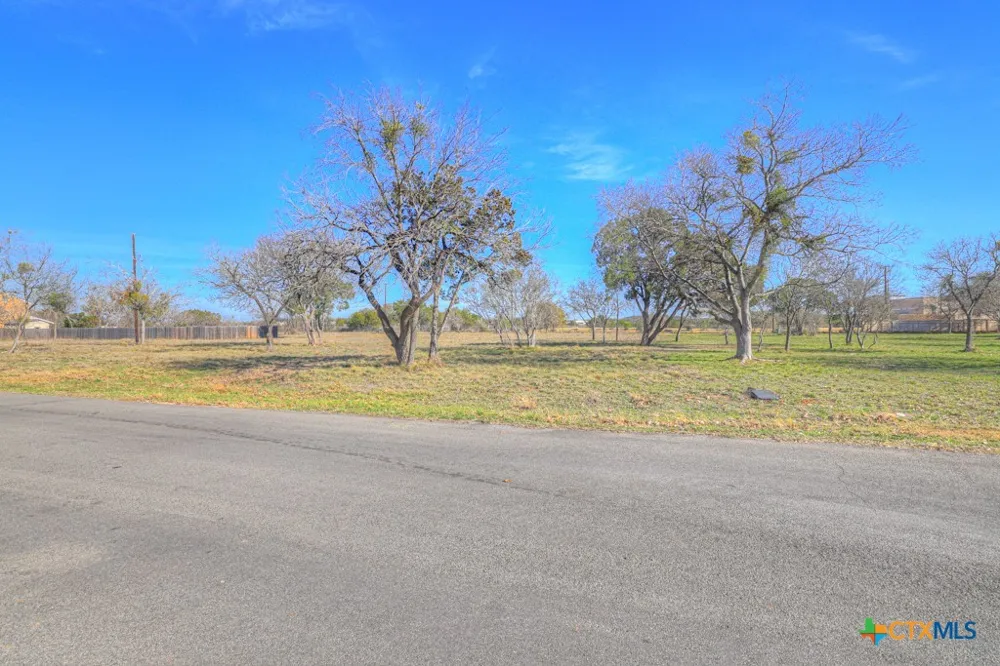 314 Windsor Lane New Braunfels, TX 78132
