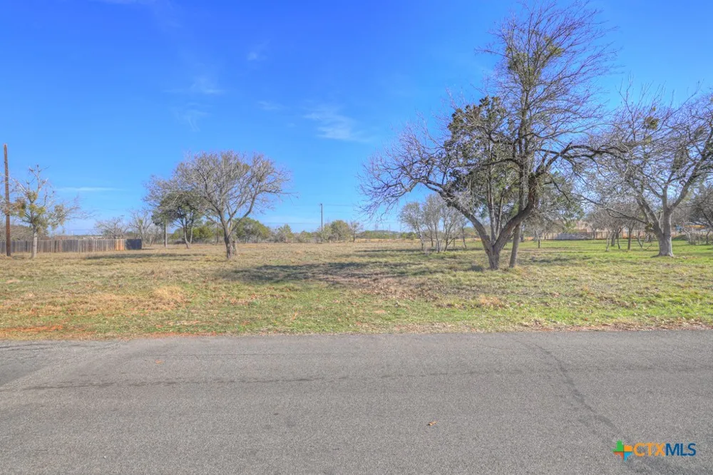 314 Windsor Lane New Braunfels, TX 78132