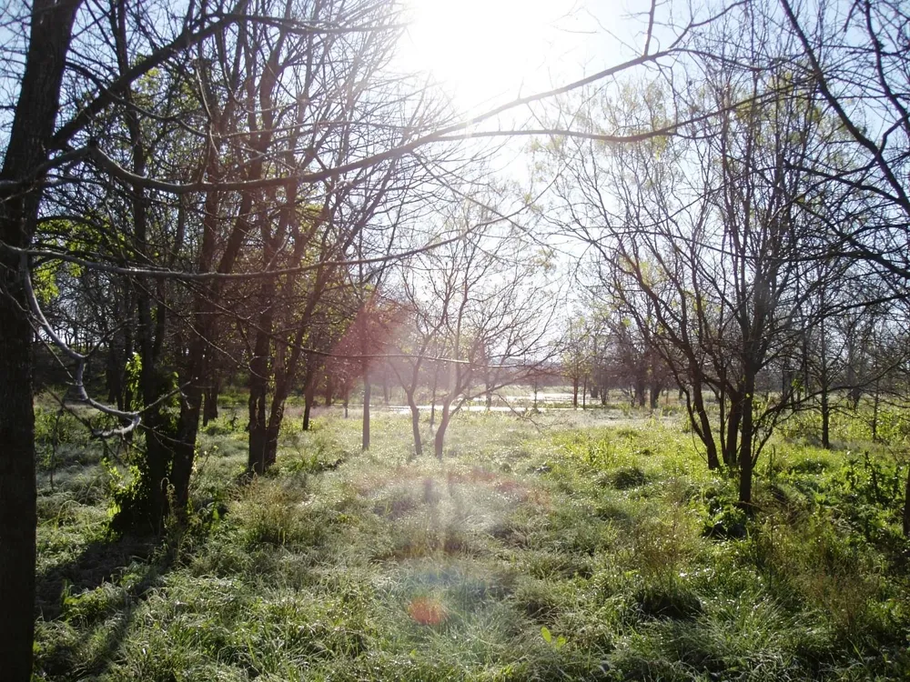 11913 Mcangus Road Del Valle, TX 78617