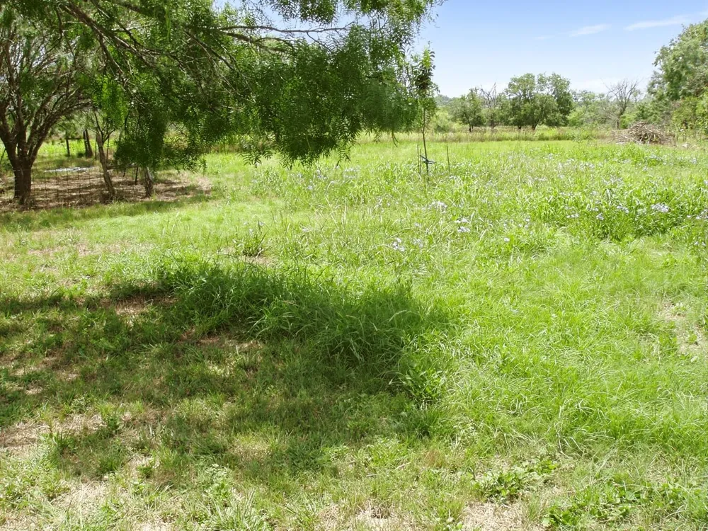 11913 Mcangus Road Del Valle, TX 78617