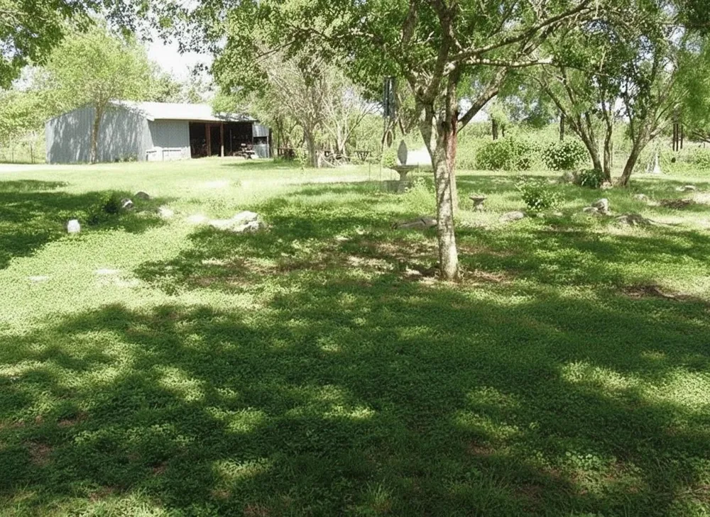 11913 Mcangus Road Del Valle, TX 78617