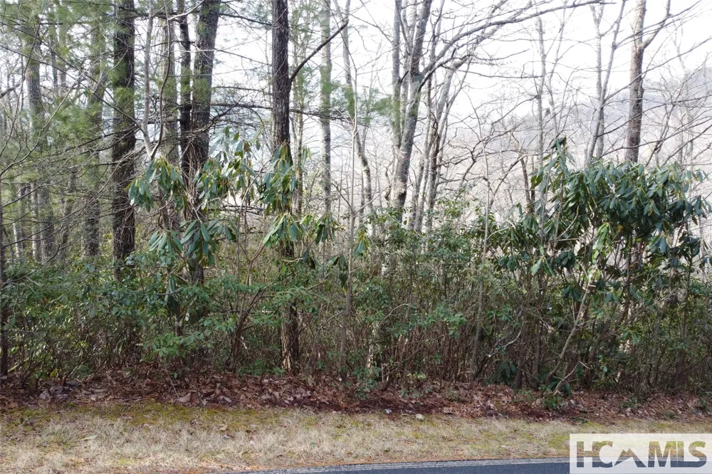 Lot 40 Buckberry Drive Sapphire, NC 28774