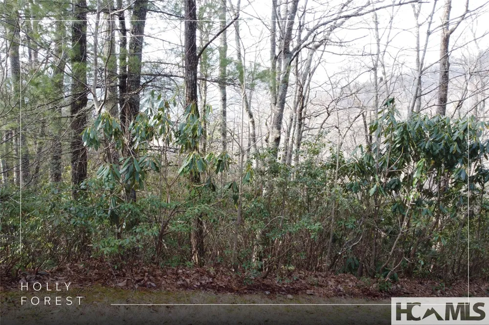 Lot 40 Buckberry Drive Sapphire, NC 28774