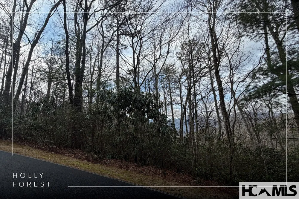 Lot 40 Buckberry Drive Sapphire, NC 28774